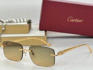CARTIERHAT016