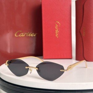 CARTIERHAT035