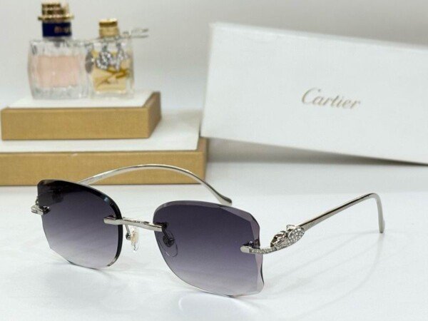 CARTIERHAT044