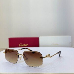 CARTIERHAT054