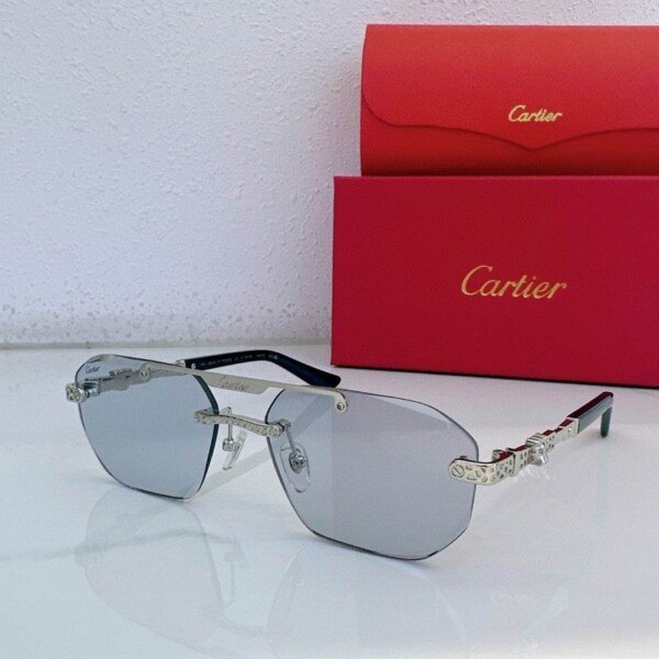 CARTIERHAT072