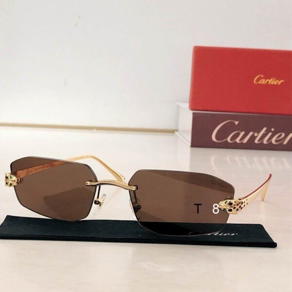 CARTIERHAT189