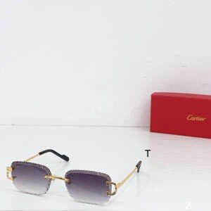 CARTIERHAT221