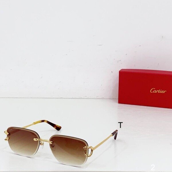 CARTIERHAT224