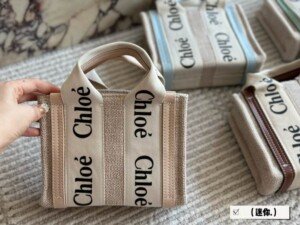 CHL016