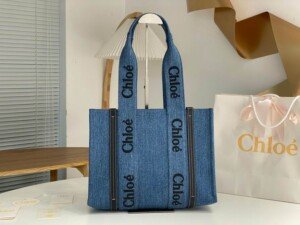 CHL041