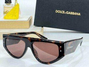 DGGLASSES013