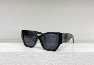DGGLASSES195