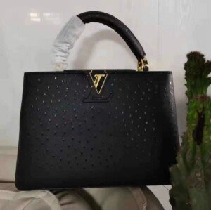 LV484