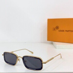 LVGLASSES019
