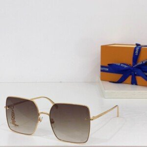 LVGLASSES035
