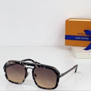 LVGLASSES040