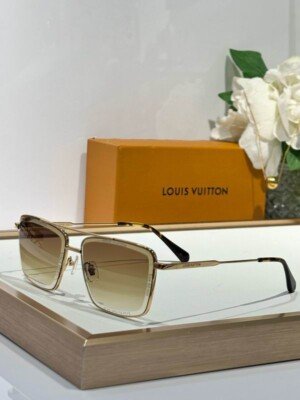 LVGLASSES088