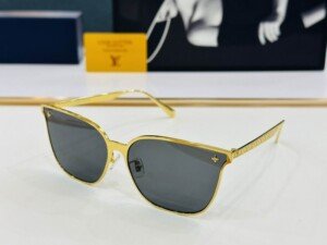 LVGLASSES229